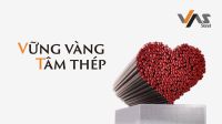 Bảng giá thép VAS Việt Mỹ mới nhất 2023